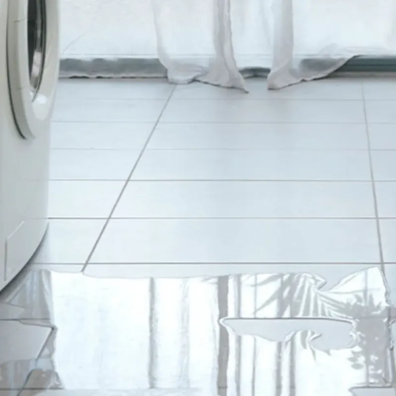 Appliance Leak Cleanup in Hallsville, TX