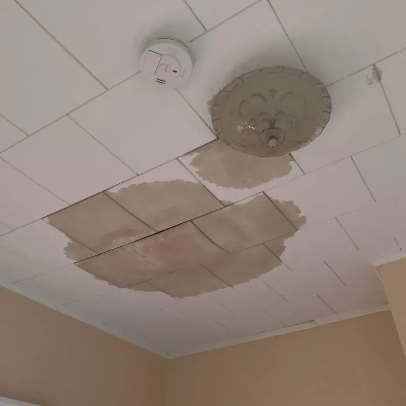 Ceiling Water Damage Repair in Hallsville, TX