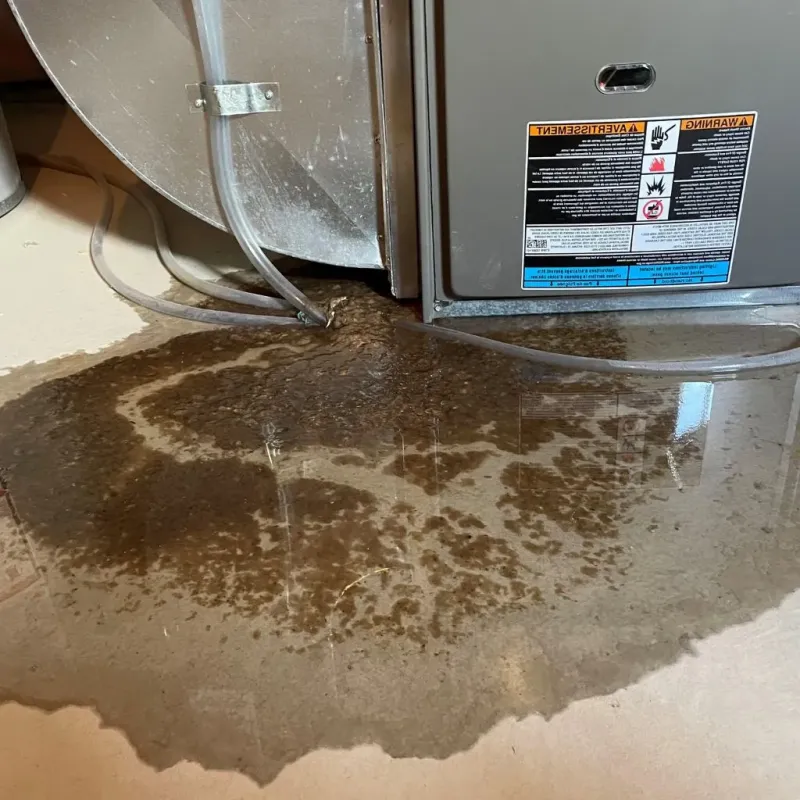 Pipe Burst and Leak Restoration in Hallsville, TX